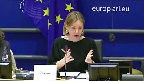 Harry Brignull presenting at European Parliament I...