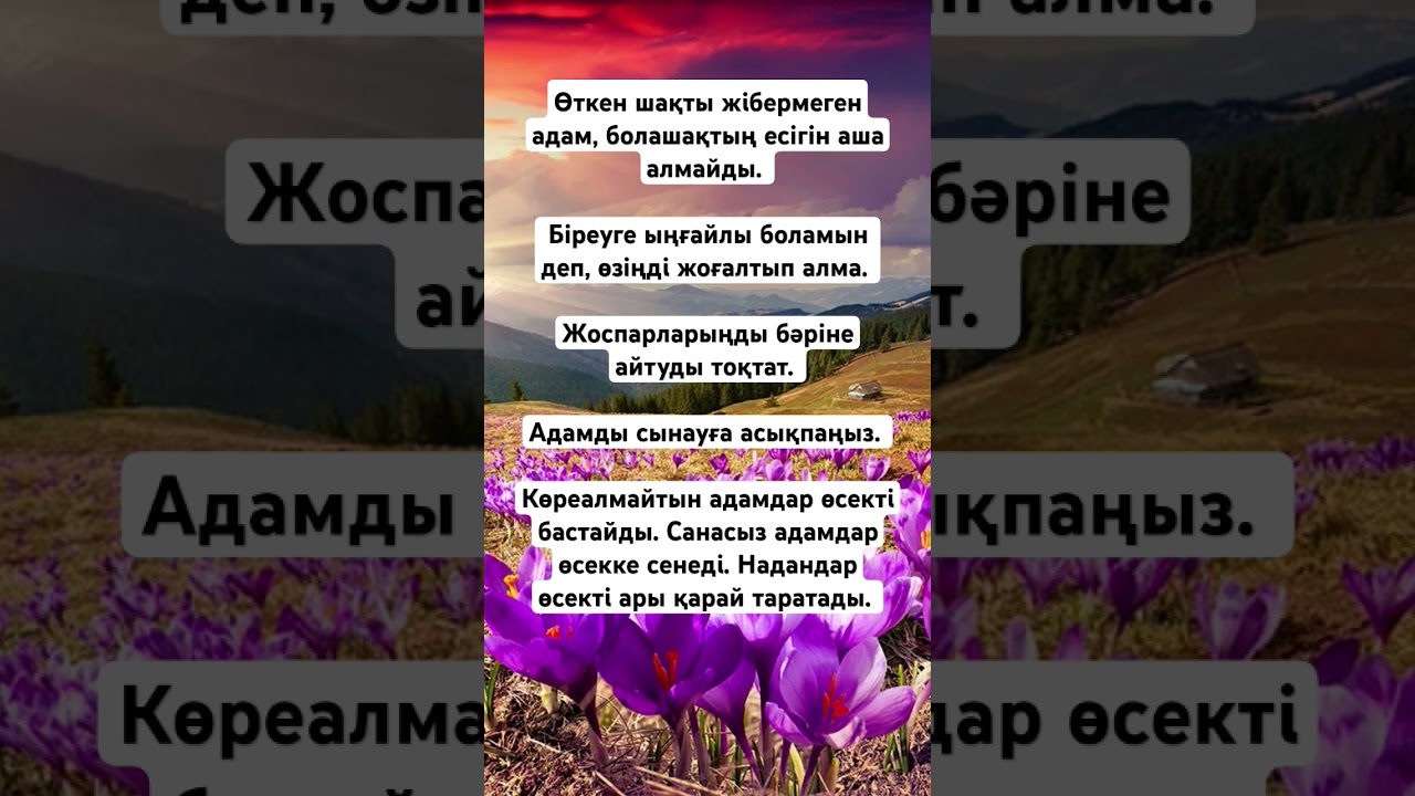 Көпшілік қызды есекке ұрып жатыр