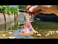 I Caught The MONSTERS of The HIDDEN SPILLWAY!!! (Big Baits!)