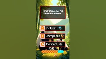 Can you get 5/5 ?#quizchallenge #testandlearn #englishquiz #mindbendingquiz #testyourknowledge