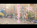 【やらなきゃ損😱】満開に欠かせない庭仕事｜宿根草の移植と防虫対策｜春苗の植え付けと摘芯｜小さな庭のガーデニング