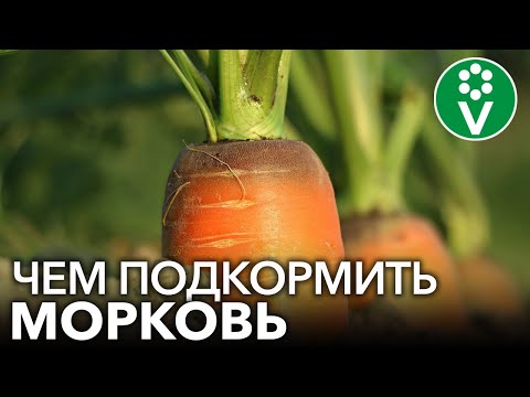 Video: Miksi Sberbank-kortilla on negatiivinen saldo: kaikkien tapausten analyysi