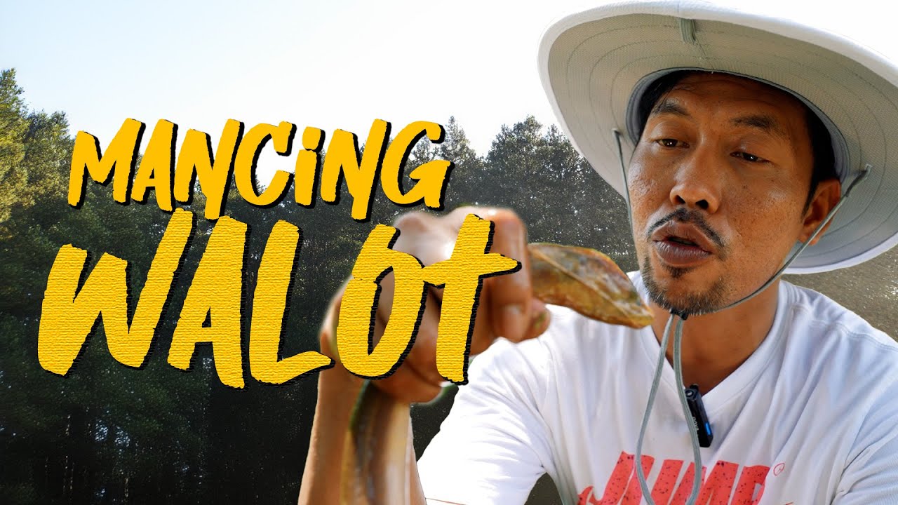 {VLOG} #KULAAN MANCING WALOT!!! #banjar #BUBU #BELUT #paritbuntar (EPISOD 3)