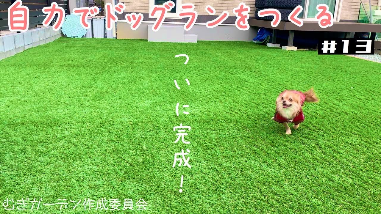 Diy 庭にドッグランを作る 13 完成編 Home Dog Run Youtube