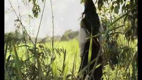 Feel The Sun - Marga Sol