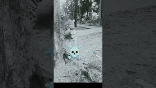 leopard and dog love story #song #music #remix