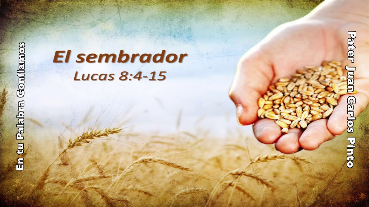 San Lucas 8 4 15 Youtube