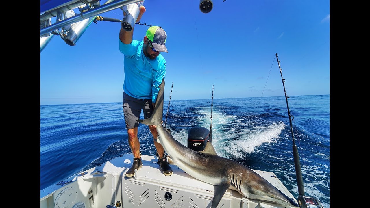 Oregon Inlet DIY Deep Sea Fishing 