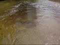 TAKE ME TO THE RIVER ~ TALKING HEADS  ~ (Lyrics)