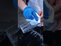 Sandwich (Dual-View) Printing Solution for Glass Tumbler