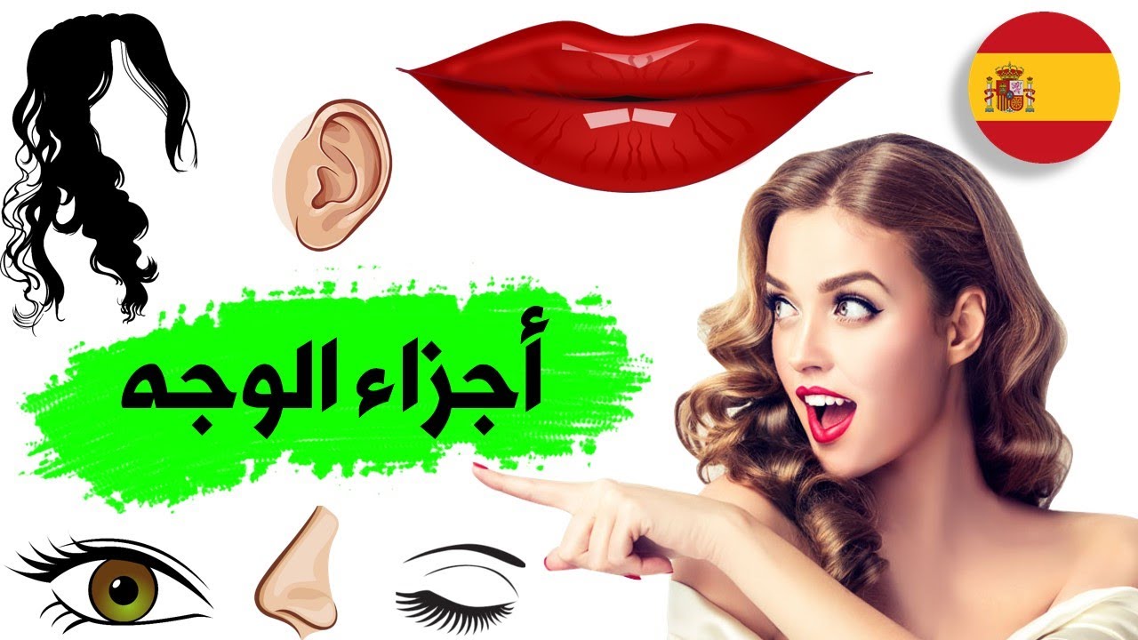 الوجه بالاسباني | اجزاء جسم الانسان الاسبانية | تعلم اللغة الاسبانية من الصفر