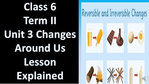 class 6 changes around us lesson #samacheer #term II #science #lesson explained #6th standard