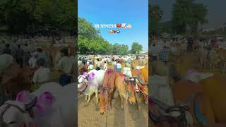 #folksong #song #music #folk #folkmusic #telugusongs #automobile #beautifulfolksong #farming#viral
