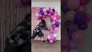 ASMR Balloon Popping Balloon Garland!