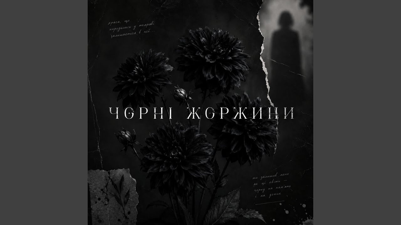 Чорні жоржини