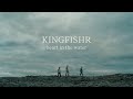 Kingfishr  heart in the water official