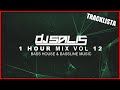 Dj salis  1 hour mix vol 12  bass house  bassline music