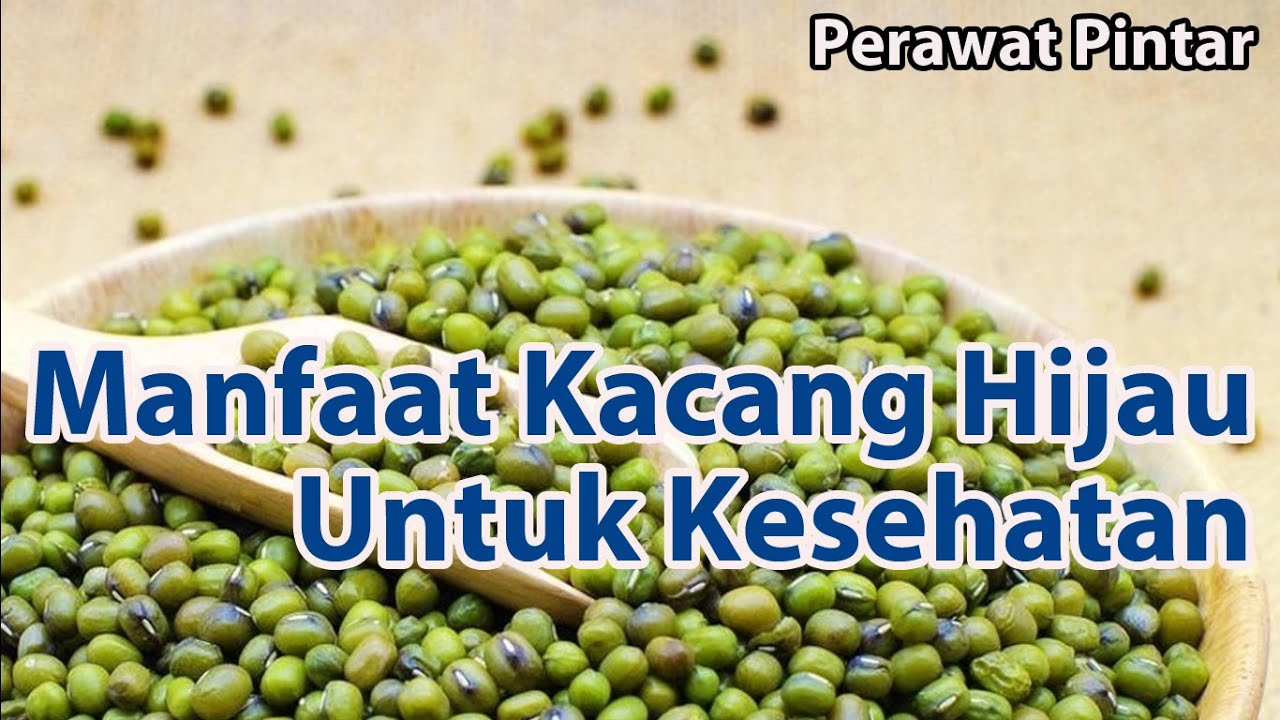 manfaat kacang hijau untuk kesehatan 