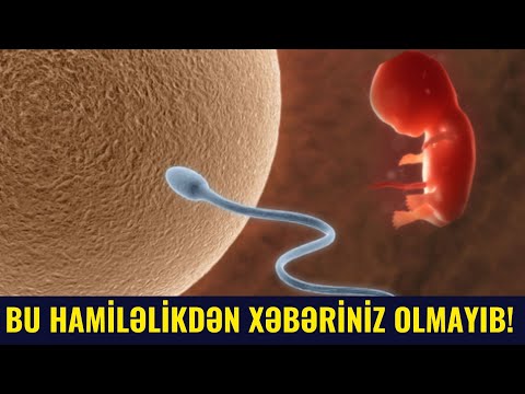 Video: Bir dikot embrionunun inkişafını müzakirə edən embrion nədir?