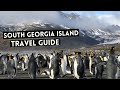 South georgia island travel guide  cruises and everything you need to know