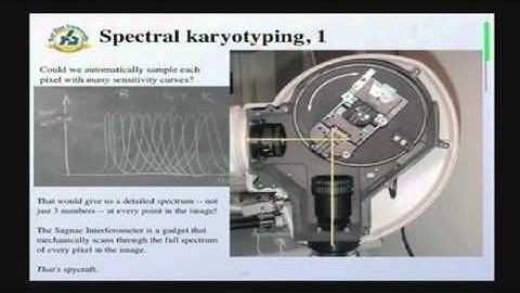 Physics of Human and Superhuman Vision, part 3/5