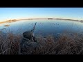 Busting Ice For Ducks