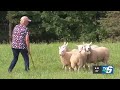 Chassell woman is taking her dogs to a world championship