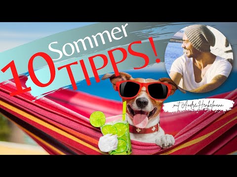 Video: 5 Ideen, um die Hundetage des Sommers optimal zu nutzen