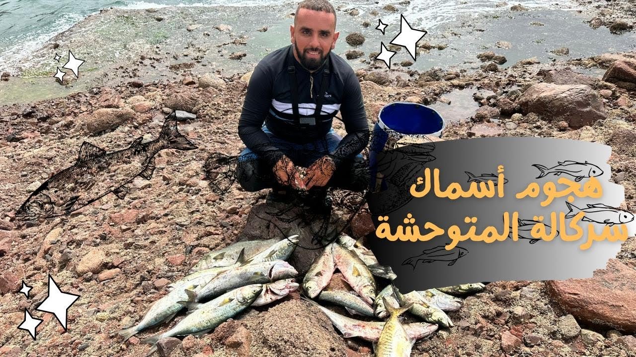 “لحظة هجوم أسماك سركلة على المباشر 🐟🔥 نشاط أسطوري!”