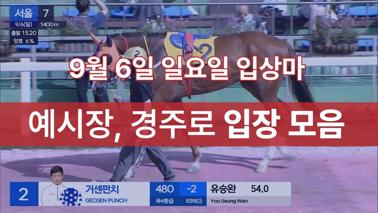 [9월 6일 일요일 입상마] 예시장, 경주로 입장 모음