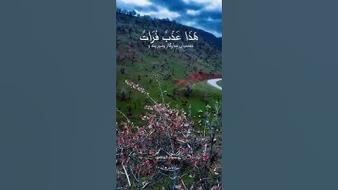 تلاوة خاشعة للقارئ الشيخ محمد صديق المنشاوي #اكسبلور #القران_الكريم #المصحف #القزابري #الرحمن #لايك