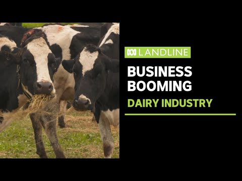Australia's dairy industry