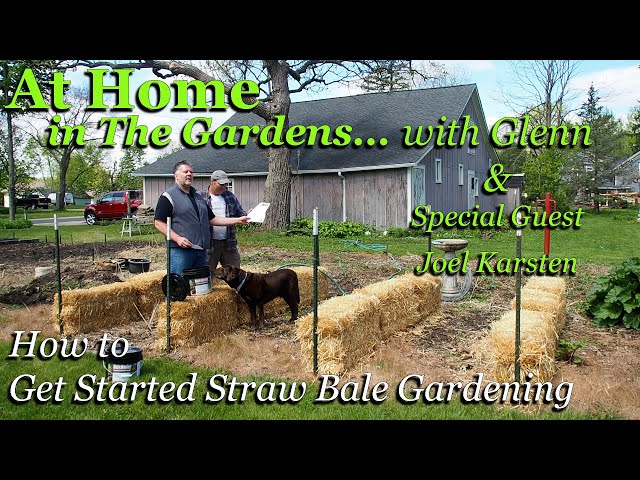 Try Your Own Straw Bale Garden - Laidback Gardener