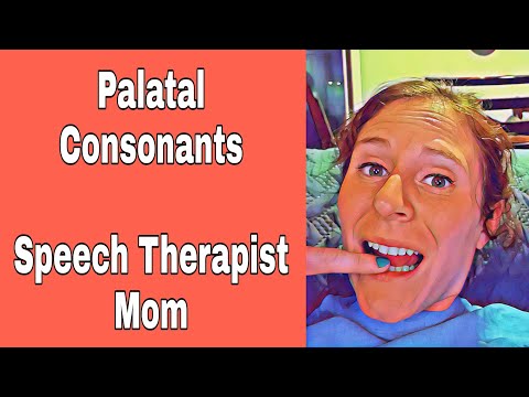 Video: Hvad er de palatale lyde?