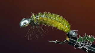 :     !  ""  Caddis Larva