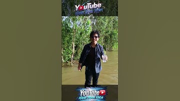 tắm dồng chợ cả sách thường lạc #nature #hanhtrinhkhoa #tamdong