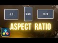 How To Change Aspect Ratio in Davinci Resolve 19
