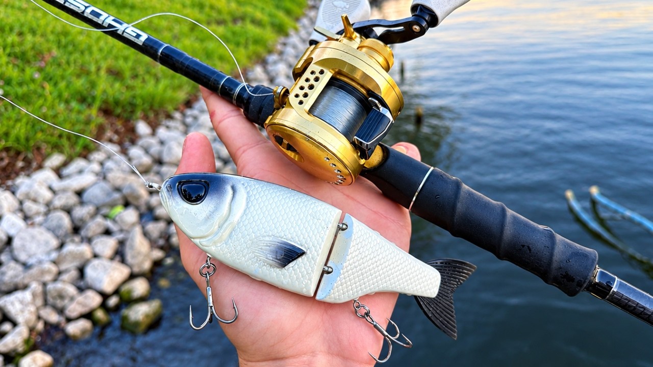 Glide Bait Fishing Small Midwest Lakes for Giant Fall Bass!