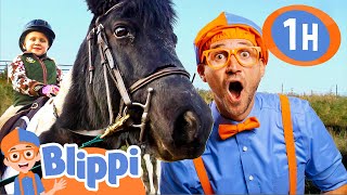 Blippi Learns EVERYTHING About Horses! | 1 HOUR OF BLIPPI TOYS!