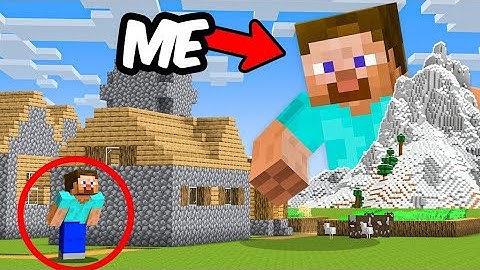 I Cheated Using a GIANT Mod in Minecraft