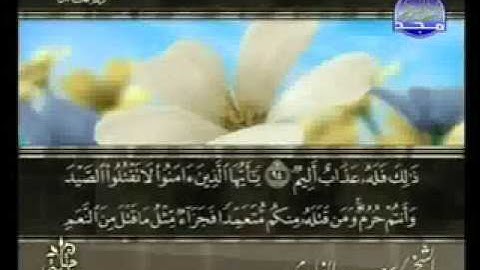 سورة المائدة من الآية  87  الى الآية  100