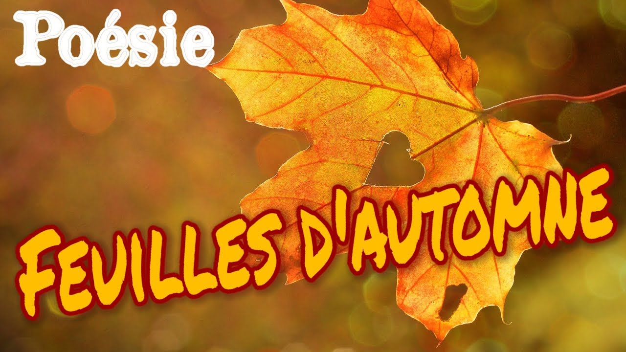 Poesie Feuilles D Automne D Isabelle Jaccard Youtube