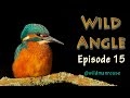 Wild Angle Episode 15