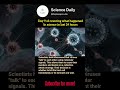 Viruses Can TALK with each other #shorts #science