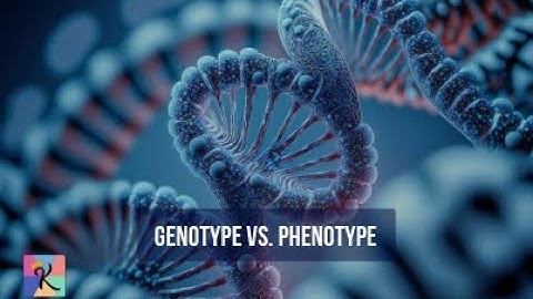 Genotype vs. Phenotype: Understanding the Blueprint andExpression of Traits