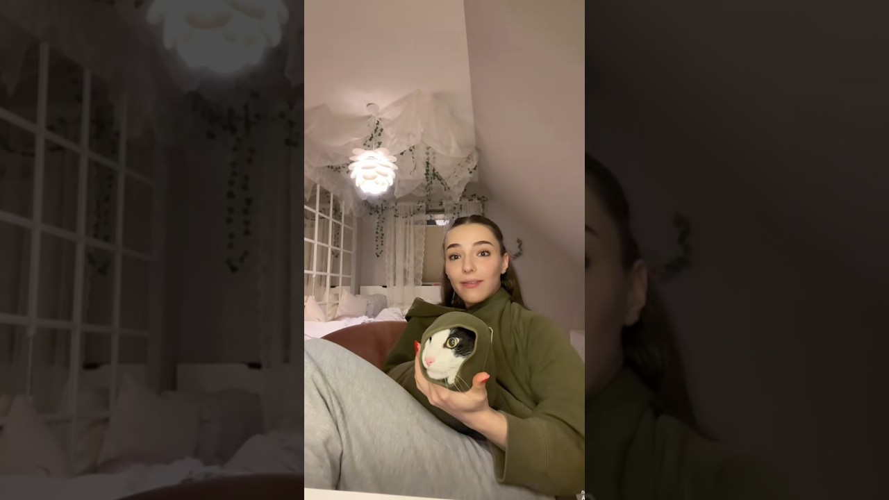 Katze 🥹 #viral #lustig #comedy #katze #cat #cute #heftig