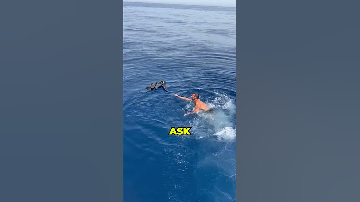 He Made a Huge Mistake Before Jumping In.. 😱