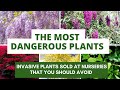 The Most Dangerous Plants You Should NEVER Buy from Nurseries