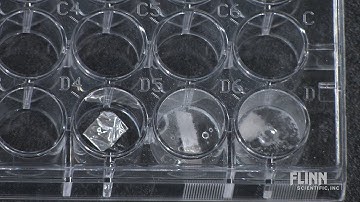 Properties of Elements