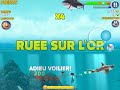 Henry  shark la vie dun requin marteau